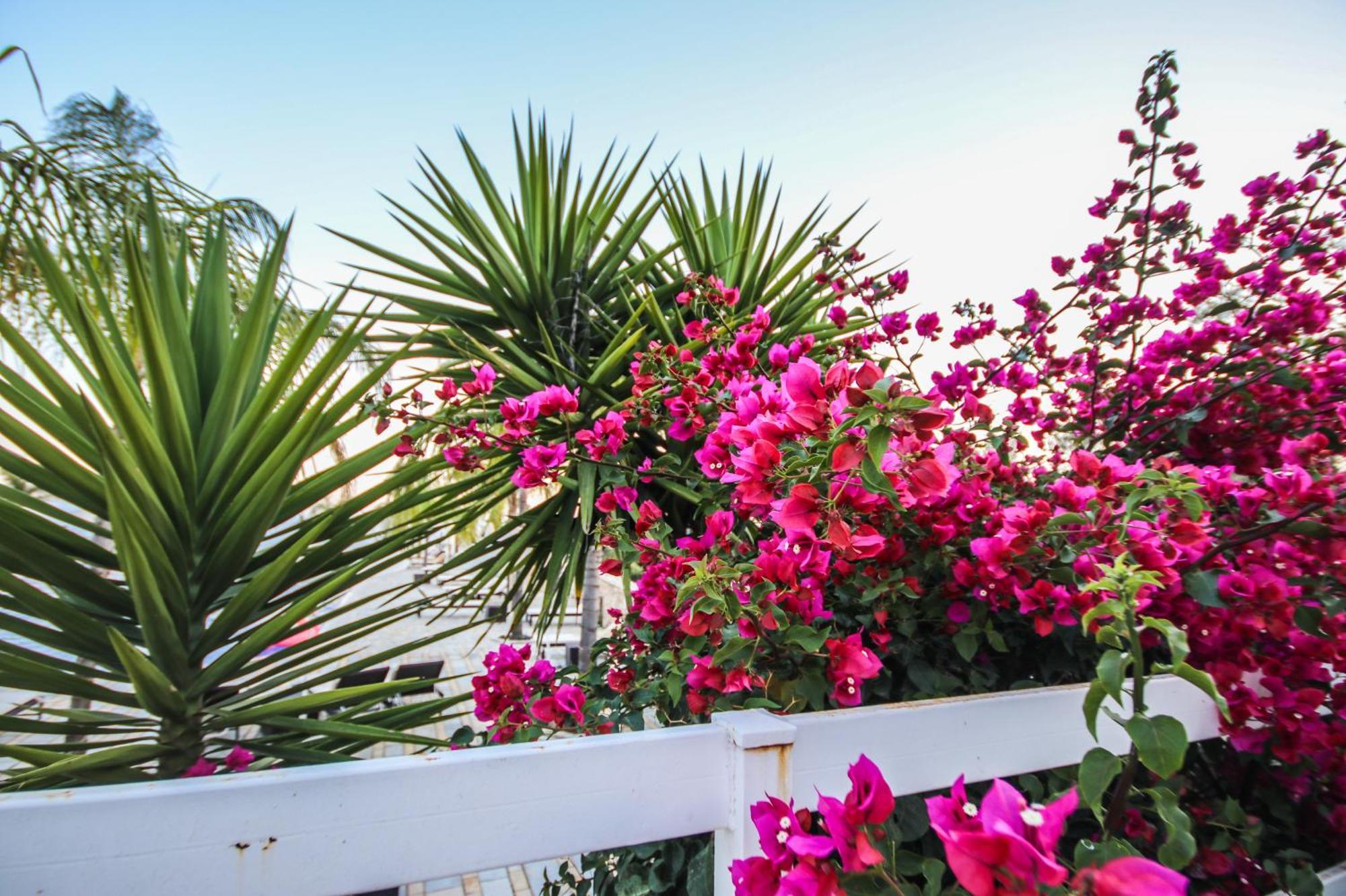 Elysium Hotel Dhërmi Dış mekan fotoğraf