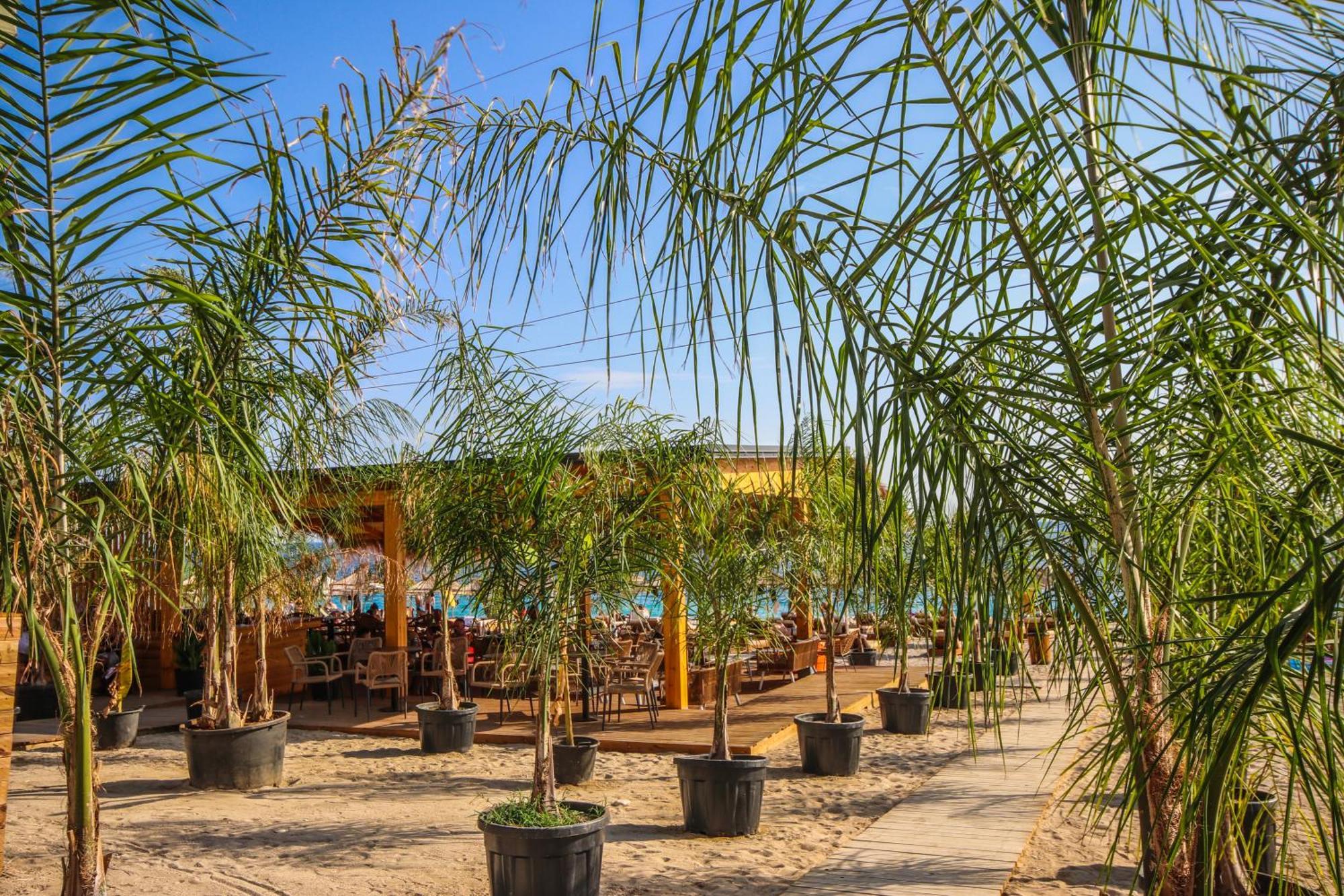 Elysium Hotel Dhërmi Dış mekan fotoğraf